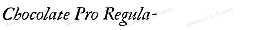 Chocolate Pro Regula字体转换